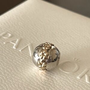 Pandora Ss & 14k Saturn Flower Charm